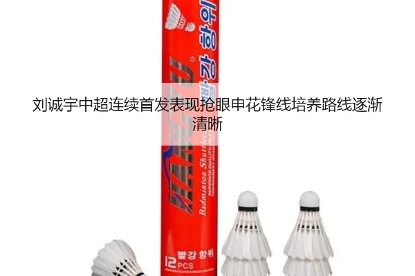刘诚宇中超连续首发表现抢眼申花锋线培养路线逐渐清晰